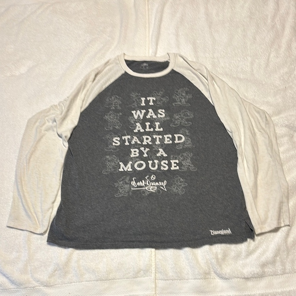 Disney Gray and Cream Raglan Tee